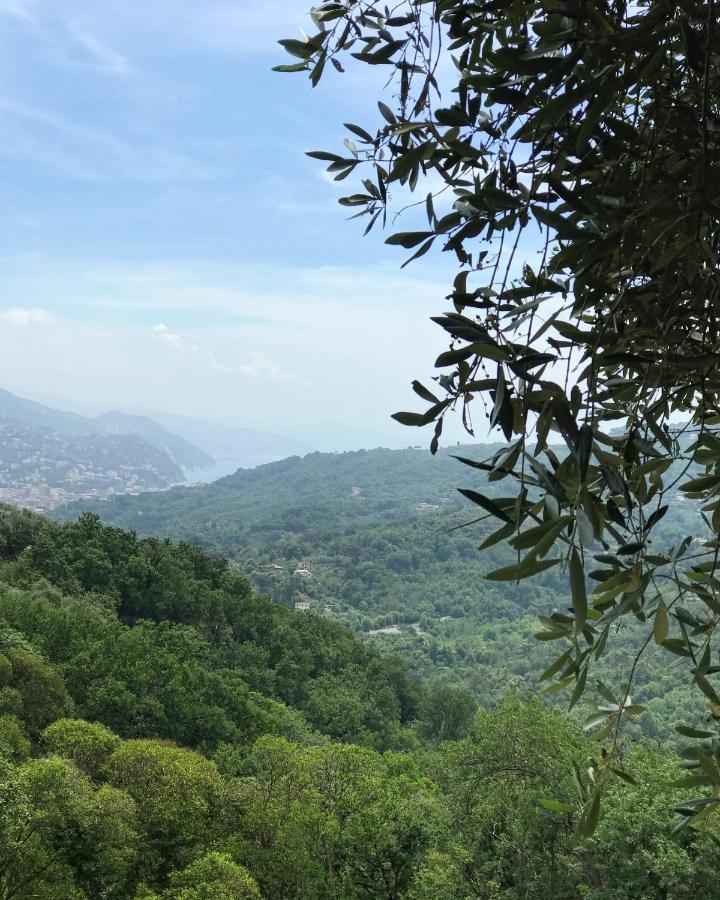 Bed and Breakfast La Riviera Bed & Breakfast Rapallo Zewnętrze zdjęcie