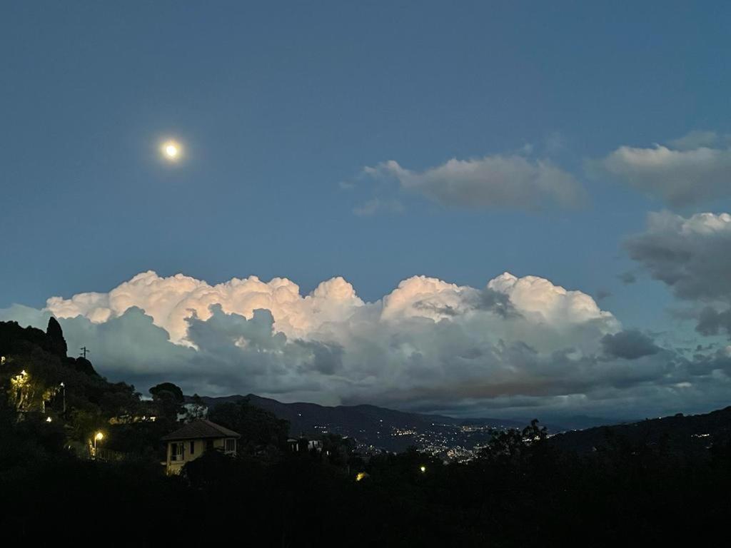 Bed and Breakfast La Riviera Bed & Breakfast Rapallo Zewnętrze zdjęcie