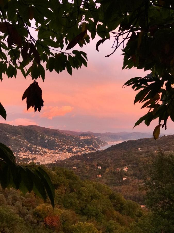 Bed and Breakfast La Riviera Bed & Breakfast Rapallo Zewnętrze zdjęcie